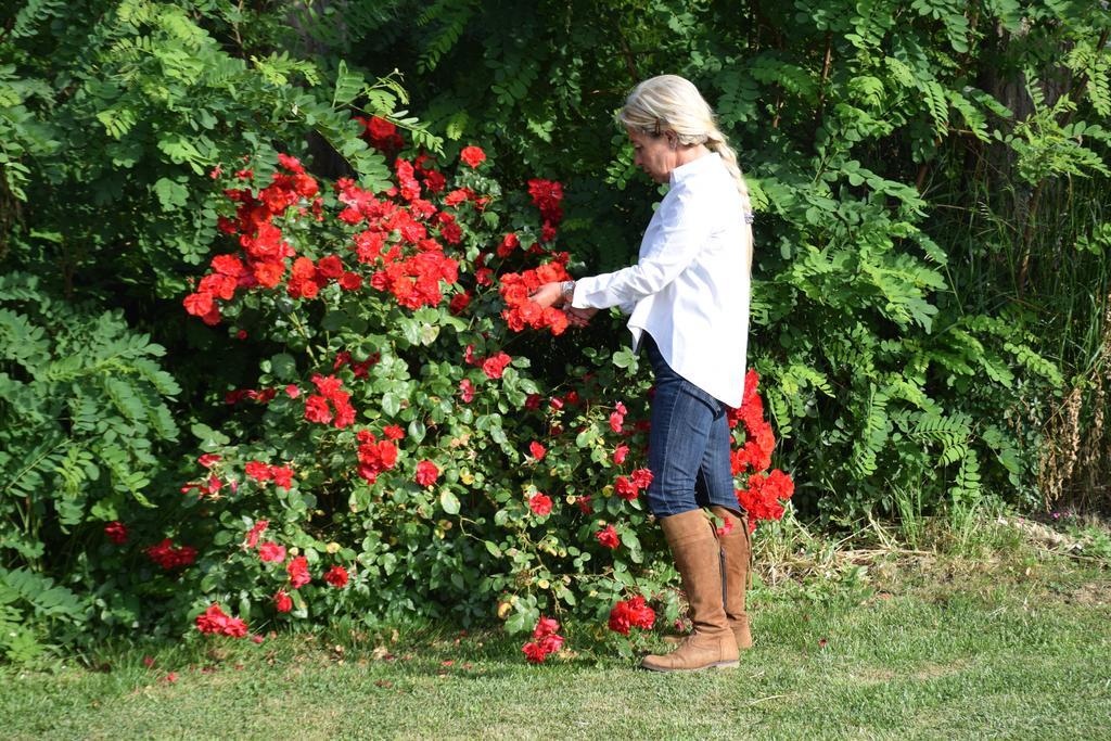Agriturismo Ss Annunziata San Vincenzo Luaran gambar