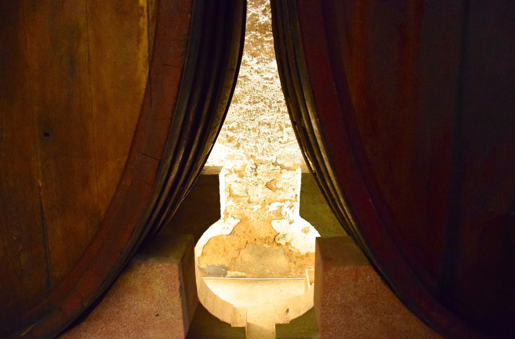 Agriturismo Ss Annunziata San Vincenzo Luaran gambar